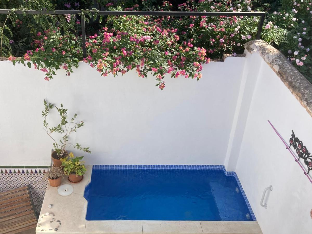 Casa Clemente 32, Private House With Plunge Pool Apartment Malaga Exterior photo