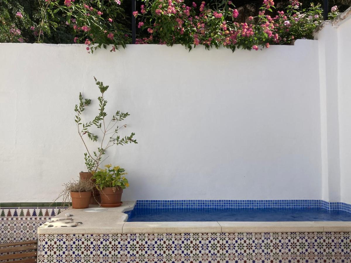 Casa Clemente 32, Private House With Plunge Pool Apartment Malaga Exterior photo